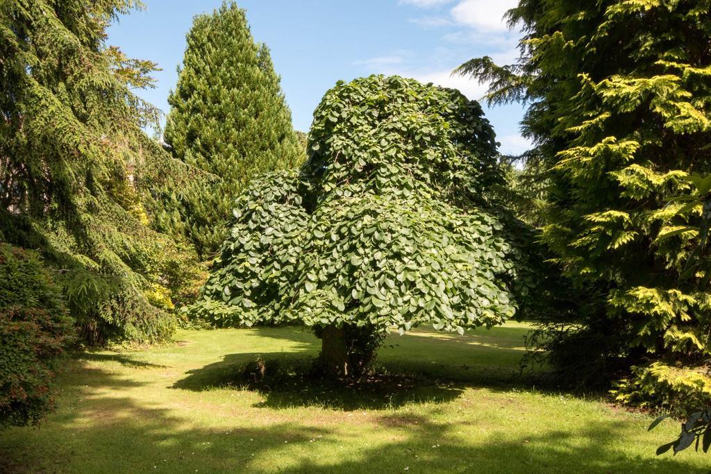 Firlands Forres Exterior foto